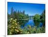 Yellow roses by Mirror Pond on the Deschutes River, Drake Park, Bend, Deschutes County, Oregon, USA-null-Framed Photographic Print