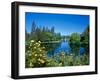 Yellow roses by Mirror Pond on the Deschutes River, Drake Park, Bend, Deschutes County, Oregon, USA-null-Framed Photographic Print