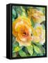 Yellow Roses Garden-Lanie Loreth-Framed Stretched Canvas