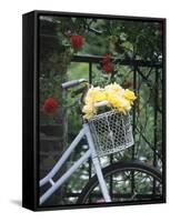 Yellow Roses in Bicycle Basket, Red Climbing Roses Behind-Alena Hrbkova-Framed Stretched Canvas