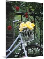 Yellow Roses in Bicycle Basket, Red Climbing Roses Behind-Alena Hrbkova-Mounted Photographic Print