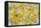 Yellow Roses-Silvia Vassileva-Framed Stretched Canvas