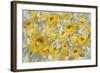 Yellow Roses-Silvia Vassileva-Framed Art Print