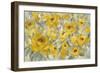 Yellow Roses-Silvia Vassileva-Framed Premium Giclee Print