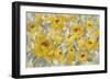 Yellow Roses-Silvia Vassileva-Framed Premium Giclee Print