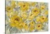 Yellow Roses-Silvia Vassileva-Stretched Canvas