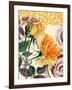 Yellow Roses-Piddix-Framed Art Print