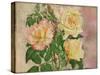 Yellow Roses-Cora Niele-Stretched Canvas