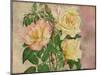 Yellow Roses-Cora Niele-Mounted Giclee Print