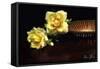 Yellow Roses-5fishcreative-Framed Stretched Canvas