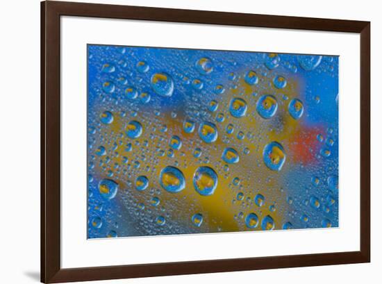 Yellow rubber duck reflection in dew drops-Darrell Gulin-Framed Photographic Print