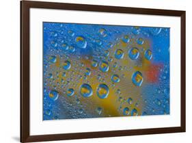 Yellow rubber duck reflection in dew drops-Darrell Gulin-Framed Photographic Print