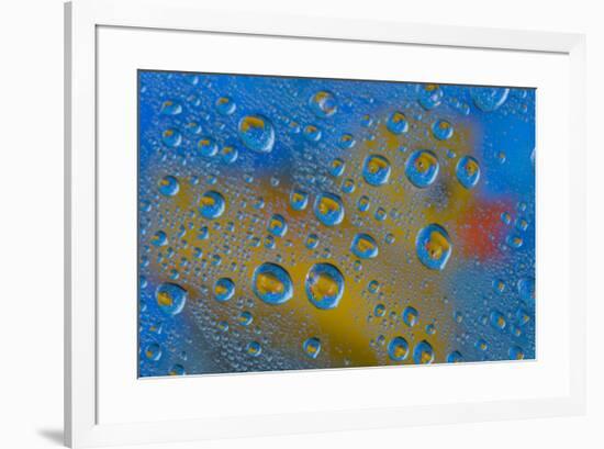 Yellow rubber duck reflection in dew drops-Darrell Gulin-Framed Photographic Print