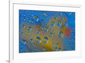 Yellow rubber duck reflection in dew drops-Darrell Gulin-Framed Photographic Print