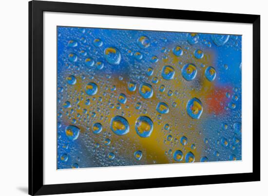 Yellow rubber duck reflection in dew drops-Darrell Gulin-Framed Photographic Print