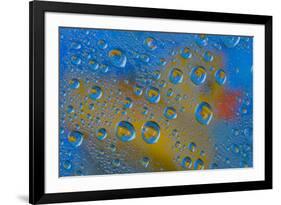 Yellow rubber duck reflection in dew drops-Darrell Gulin-Framed Photographic Print