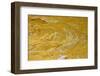 Yellow sandstone, ferruginious pipes, coastal cliff erosion, Redend Point-Nicholas & Sherry Lu Aldridge-Framed Photographic Print