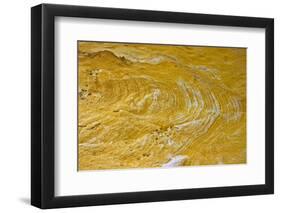 Yellow sandstone, ferruginious pipes, coastal cliff erosion, Redend Point-Nicholas & Sherry Lu Aldridge-Framed Photographic Print
