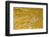 Yellow sandstone, ferruginious pipes, coastal cliff erosion, Redend Point-Nicholas & Sherry Lu Aldridge-Framed Photographic Print