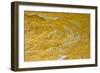 Yellow sandstone, ferruginious pipes, coastal cliff erosion, Redend Point-Nicholas & Sherry Lu Aldridge-Framed Photographic Print