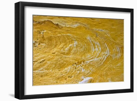 Yellow sandstone, ferruginious pipes, coastal cliff erosion, Redend Point-Nicholas & Sherry Lu Aldridge-Framed Photographic Print