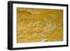 Yellow sandstone, ferruginious pipes, coastal cliff erosion, Redend Point-Nicholas & Sherry Lu Aldridge-Framed Photographic Print