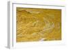 Yellow sandstone, ferruginious pipes, coastal cliff erosion, Redend Point-Nicholas & Sherry Lu Aldridge-Framed Photographic Print