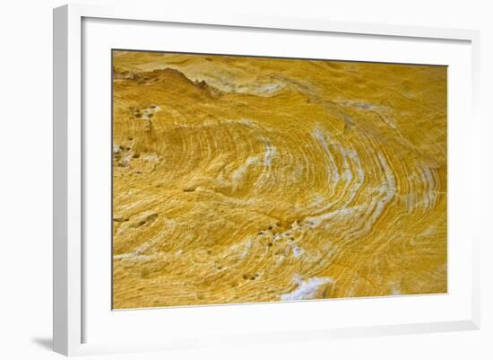 Yellow sandstone, ferruginious pipes, coastal cliff erosion, Redend Point-Nicholas & Sherry Lu Aldridge-Framed Photographic Print