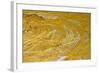 Yellow sandstone, ferruginious pipes, coastal cliff erosion, Redend Point-Nicholas & Sherry Lu Aldridge-Framed Photographic Print