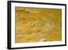 Yellow sandstone, ferruginious pipes, coastal cliff erosion, Redend Point-Nicholas & Sherry Lu Aldridge-Framed Photographic Print