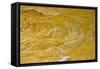Yellow sandstone, ferruginious pipes, coastal cliff erosion, Redend Point-Nicholas & Sherry Lu Aldridge-Framed Stretched Canvas