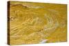 Yellow sandstone, ferruginious pipes, coastal cliff erosion, Redend Point-Nicholas & Sherry Lu Aldridge-Stretched Canvas