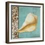 Yellow Seashell - Tan Side Border Teal Crackle Back-Megan Duncanson-Framed Giclee Print