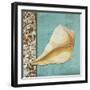 Yellow Seashell - Tan Side Border Teal Crackle Back-Megan Duncanson-Framed Giclee Print