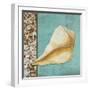 Yellow Seashell - Tan Side Border Teal Crackle Back-Megan Duncanson-Framed Giclee Print