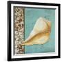 Yellow Seashell - Tan Side Border Teal Crackle Back-Megan Duncanson-Framed Giclee Print