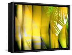 Yellow Shades-Andrew Michaels-Framed Stretched Canvas