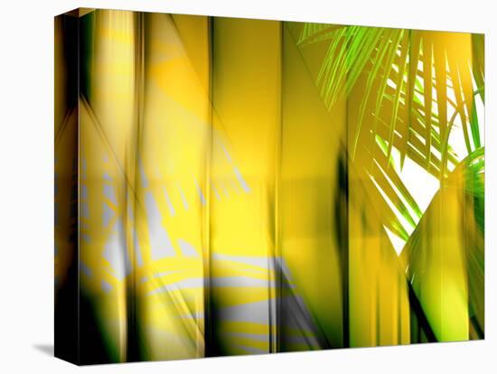 Yellow Shades-Andrew Michaels-Stretched Canvas