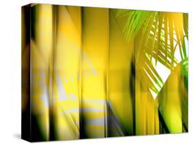 Yellow Shades-Andrew Michaels-Stretched Canvas