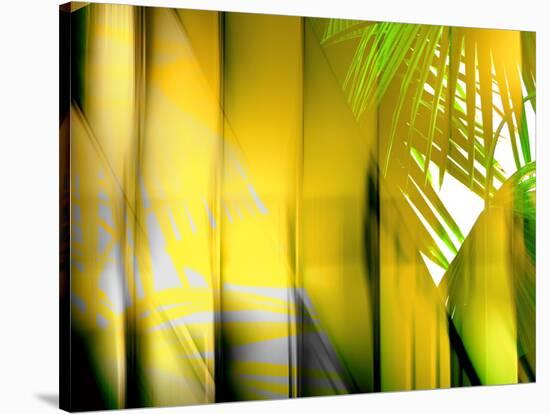 Yellow Shades-Andrew Michaels-Stretched Canvas