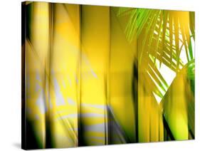 Yellow Shades-Andrew Michaels-Stretched Canvas