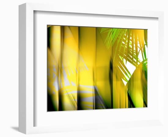 Yellow Shades-Andrew Michaels-Framed Photographic Print