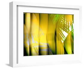 Yellow Shades-Andrew Michaels-Framed Photographic Print