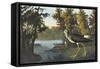 Yellow Shank-John James Audubon-Framed Stretched Canvas