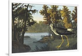 Yellow Shank-John James Audubon-Framed Art Print