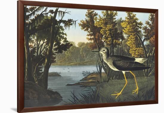 Yellow Shank-John James Audubon-Framed Art Print