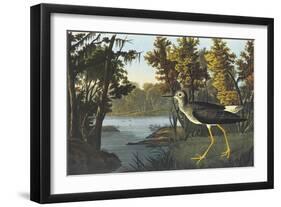 Yellow Shank-John James Audubon-Framed Art Print