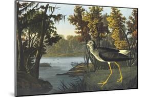 Yellow Shank-John James Audubon-Mounted Art Print