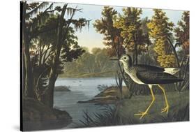 Yellow Shank-John James Audubon-Stretched Canvas