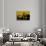 Yellow Sign-David Studwell-Giclee Print displayed on a wall